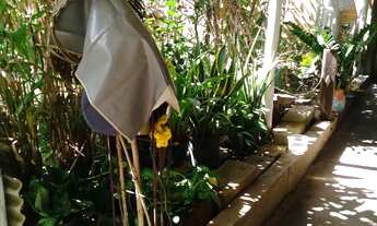 Imagem: Vende se Lote com Casa Simples