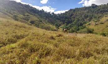 Imagem 5: 17.5 Alqueires Pertinho de Gv