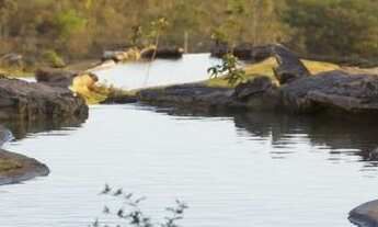 Imagem 4: Loteamento em Valparaíso - Residencial Horizontal Botânico