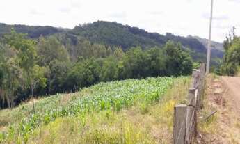 Imagem 5: Sítio 5,0 Hectares - Linha Glória - Rolante - RS