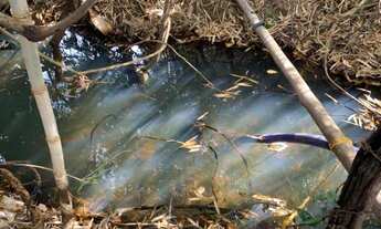 Imagem 7: Fazenda de 28 hectares com casa antiga lagoa, córrego, Baldim(Temos varias opções)