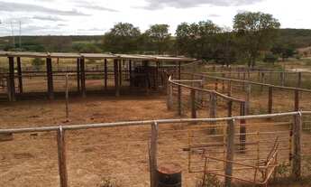 Imagem 5: Fazenda Para vc Que Tem Vocação com Pecuária