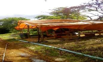 Imagem 3: Fazenda de 28 hectares com casa antiga lagoa, córrego, Baldim(Temos varias opções)