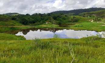 Imagem 7: Fazenda com 4 aptidões para venda com 222 hectares em Dário Meira - BA