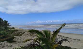 Imagem 6: Terreno para venda possui 20.000 metros quadrados em Rod. Ilhéus - Itacaré BA