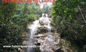 Imagem 4: Sítio 136 Hectares - Sítio 670 Hectares