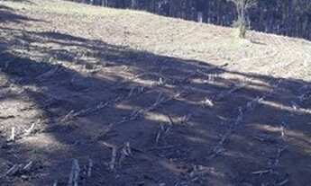 Imagem 5: Sítio 16 Hectares Liberdade - Sítio 04 Hectares Liberdade