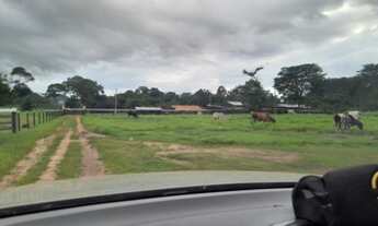 Imagem 4: Fazenda no Município de Campos Lindo TO