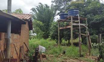 Imagem 3: Chácara de 10,5 hectares. 7 km da BR