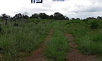 Imagem 2: FAZENDA/PECUARIA/CRUZEIRO DO SUL/ACRE/DOCUMENTADA