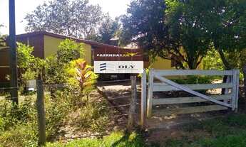 Imagem 5: Excelente Fazenda em Campestre - GO ! oportunidade ! 6 Alqueires !