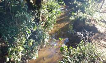 Imagem 3: Fazenda/Sítio/Chácara para venda possui 14000 metros quadrados em Centro - Bueno Brandão