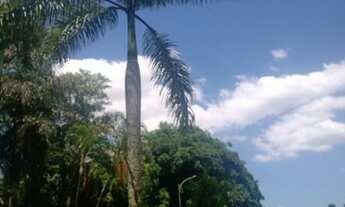 Imagem: Interessado em alugar kit net