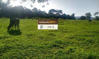 Imagem: Excelente Fazenda em Campestre - GO ! oportunidade