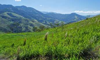 Imagem 7: Terreno em São Francisco Xavier-SP