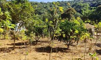 Imagem 6: Sítios/chácara/Fazendas