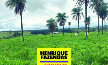 Imagem 2: Fazenda pecuária Abreulandia Tocantins