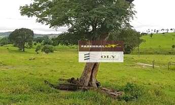 Imagem 6: Fazenda Extra ! Região de São Luis de Montes Belos ! 1 Alqueire !