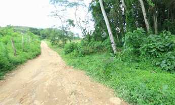 Imagem 7: Lotes exclusivos no Cônego - Lote 15