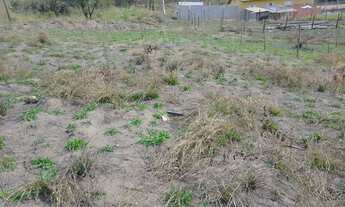 Imagem: Terreno para venda em Jarinu,SP / Estância