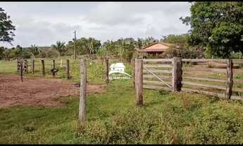 Imagem: Fazenda para Venda em Araguaína, Região