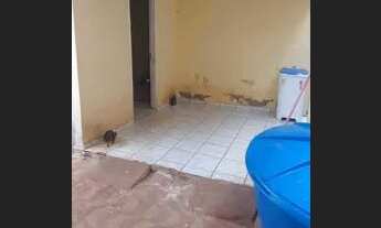 Imagem 3: Vende-se casa em Presidente Dutra