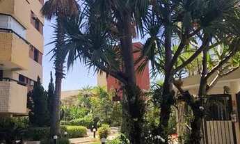 Imagem 3: Apartamento Alugo - Sem intermediário