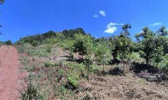 Imagem 4: Sítio na Linha São João em Canela!