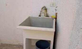 Imagem 6: Aluga se casa de 3 cômodos próx ao supermercado Japão