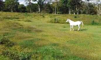 Imagem 2: LOTES NO INTERIOR DE SÃO PAULO: OPORTUNIDADE IMPERDÍVEL!