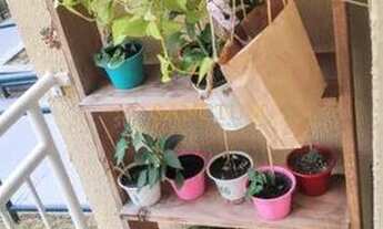 Imagem 1: Apartamento - Vila Marieta - Campinas