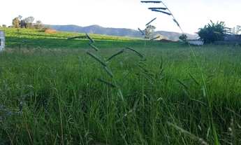 Imagem: Terreno para chácara