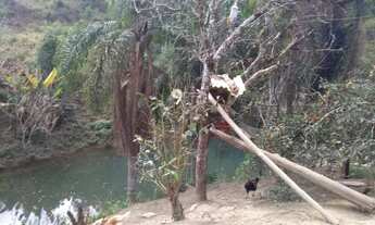 Imagem 6: Chácara em Campina Grande do Sul