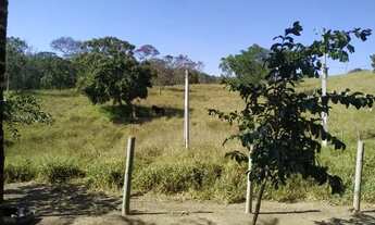 Imagem 4: FAZENDA 40 ALQUEIRES MUNICÍPIO DE PIRES DO RIO, RICA EM ÁGUA, PRÓX A SÃO MIGUEL DO PASSO Q