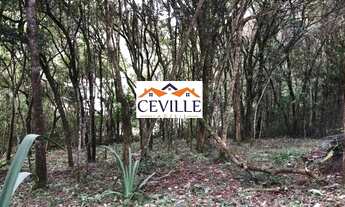 Imagem 3: Lote de 5000 m², Pasárgada