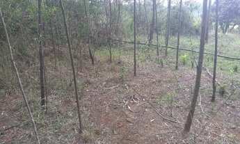 Imagem 6: Vendo terreno 660 mrts 12 por 30