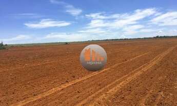 Imagem 7: FAZENDA 18 ALQUEIRES EM SAO VALERIO -TO