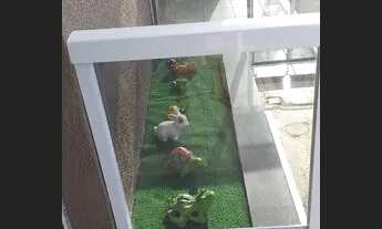 Imagem 5: Apt temporada em Cabo Frio a 750mts da praia do forte