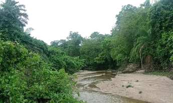 Imagem 7: 2 alqueires em faina go.( Rio do peixe