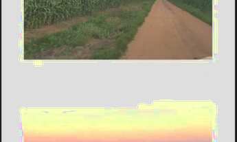 Imagem 3: Fazenda 9.500hect no Campos de Júlio MT. 5 mil abertos 300 milhões