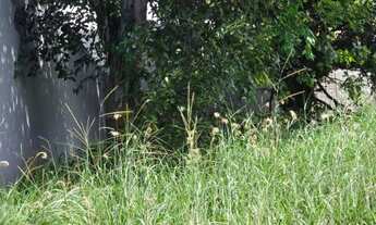 Imagem 2: RESIDENCIAL PORTO SEGURO - Senador Canedo