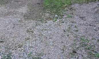 Imagem 6: Casa área rural em São José dos Pinhais