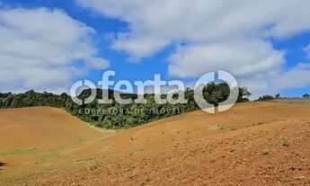 Imagem 5: Chácara em Contenda