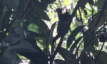 Imagem 7: Chácara à venda no bairro Sítios de Recreio dos Bandeirantes em Goiânia/GO
