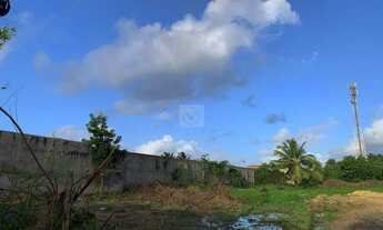 Imagem 6: Excelente terreno para abri o seu negócio