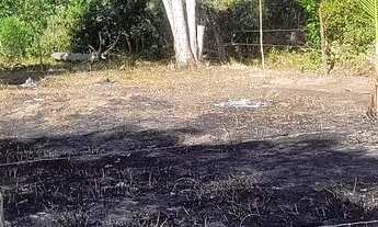 Imagem 3: Vendo terreno, localizado no Recanto dos papagaios