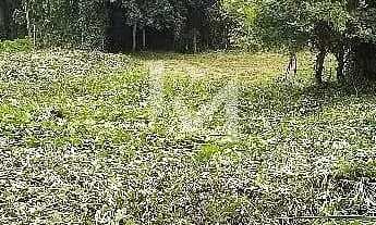 Imagem 5: Terreno 2500m² Terreno / lote com venda por R$11.000.000