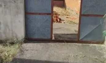 Imagem: Terreno plano - Santíssimo - Campo Grande