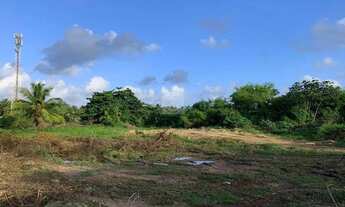 Imagem 7: Excelente terreno para abri o seu negócio