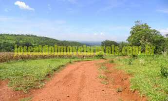 Imagem 6: Sítio 5,0 alqueires, cultura, muita água, Araguari MG